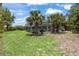 Backyard view of a screened-in pool with palm trees surrounded by lush landscaping and green grass at 3500 Liberty St, Port Charlotte, FL 33948
