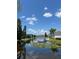 Scenic view of a pond featuring a dock, water lilies, and lush shoreline vegetation at 396 Countryside Key Blvd, Oldsmar, FL 34677