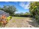 Large backyard featuring a mix of grass and sandy areas, framed by lush greenery and tropical plants at 4473 Diamond S Cir, Sarasota, FL 34233