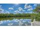 Backyard view of the pond with trees and green grass surrounding the water at 4771 Riverwood Cir, Sarasota, FL 34231