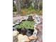 Charming backyard water feature with stone accents, lily pads, and decorative turtles at 5353 Shadow Lawn Dr, Sarasota, FL 34242
