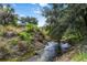 Scenic creek view surrounded by lush greenery and mature trees, offering a tranquil natural setting at 7314 Hamilton Rd, Bradenton, FL 34209