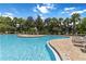 Community pool surrounded by lush greenery and palm trees with ample lounge chairs at 7314 Hamilton Rd, Bradenton, FL 34209