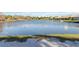 Scenic pond with ducks swimming, showcasing the community's natural beauty at 8224 Simpson Falls Ct # 8224, Sarasota, FL 34243