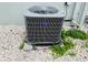 Close-up of the Carrier air conditioning unit at 8409 43Rd W Ave, Bradenton, FL 34209