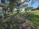 Large backyard with lush lawn and mature trees, offering a serene and private outdoor space at 13017 Club Dr, Hudson, FL 34667