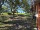 Expansive backyard showing a gently sloping lawn with mature trees and plenty of natural shade at 13017 Club Dr, Hudson, FL 34667