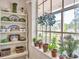 Sunlit window sill with lush greenery, adding a touch of nature and serenity to the inviting space at 20504 65Th E Ave, Bradenton, FL 34211