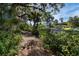 Scenic backyard view with a tranquil path, lush foliage, and waterfront access at 2740 Orchid Oaks Dr # 304, Sarasota, FL 34239