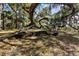 Large lot showcases a magnificent tree and a sun-dappled landscape for a tranquil, private setting at 2740 Orchid Oaks Dr # 304, Sarasota, FL 34239