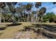 Spacious lot showcasing mature palm trees, creating shade and privacy for a tranquil setting at 2740 Orchid Oaks Dr # 304, Sarasota, FL 34239
