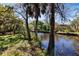 Picturesque canal view surrounded by lush trees and grassy bank, offering a serene waterfront setting at 2740 Orchid Oaks Dr # 304, Sarasota, FL 34239