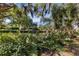Lush waterfront with greenery, trees, and calm canal views offer a serene and private setting at 2740 Orchid Oaks Dr # 304, Sarasota, FL 34239