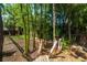Backyard featuring bamboo and natural landscaping, providing privacy and a serene outdoor setting at 3975 Coleridge Pl, Sarasota, FL 34241