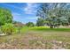Expansive backyard with a mix of grass and sand, mature trees, and a serene, natural setting at 5192 Cedar Hammock Ln, Sarasota, FL 34232