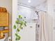 A renovated bathroom featuring marble tiles in the shower, a plant accent, and modern shower head at 7460 Dickens Dr, Sarasota, FL 34231