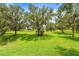 Expansive green backyard with mature trees offers plenty of space for outdoor activities at 8437 Nandina Dr, Sarasota, FL 34240