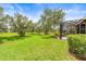 Spacious backyard with lush lawn and mature trees, features the home's screened-in lanai at 8437 Nandina Dr, Sarasota, FL 34240