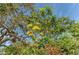 Lush foliage and flowering plants create a vibrant, natural landscape in this outdoor space at 988 Blvd Of The Arts # 1016, Sarasota, FL 34236