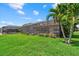 A lush green backyard features a screened-in patio and pool area, complimented by palm trees at 14216 Florida Rosemary Dr, Bradenton, FL 34211