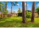 View of backyard surrounded by mature trees and greenery, showing fence lines at 1862 Rita St, Sarasota, FL 34231