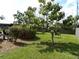 A well-maintained backyard with a healthy lawn, privacy fence and established landscaping elements at 2787 Jay Pl, Sarasota, FL 34235