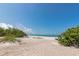 Beautiful white sand beach with clear blue water and lush green vegetation under a bright sunny sky, perfect for relaxation at 3630 Gulf Of Mexico Dr # 202, Longboat Key, FL 34228