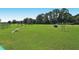 The neighborhood dog park features agility equipment and a fenced area for canine recreation at 6213 Willet Ct, Lakewood Ranch, FL 34202