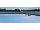 A blue outdoor hockey rink in a sunny neighborhood offering fun recreation for the whole community at 6213 Willet Ct, Lakewood Ranch, FL 34202