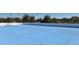 Outdoor roller hockey rink with blue surface, ready for games and recreation in a community setting at 6213 Willet Ct, Lakewood Ranch, FL 34202
