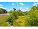 Picturesque pond view abundant with aquatic plants and foliage, creating a serene nature scene at 7615 17Th W Ave, Bradenton, FL 34209