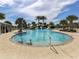 Stunning zero entry community pool with tropical palm trees, and relaxing lounge areas at 12682 Shimmering Oak Cir, Venice, FL 34293