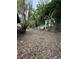 Leafy backyard featuring lush trees and storage sheds at 5011 Elfrida Ave, Sarasota, FL 34235