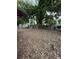Large backyard with a huge tree and multiple storage sheds at 5011 Elfrida Ave, Sarasota, FL 34235