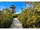 Wooden observation tower rising above lush greenery, accessible via a wooden boardwalk trail at 715 Fontana Ln, Bradenton, FL 34209