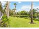 Scenic backyard featuring lush greenery and a pond, complemented by mature palm trees and landscaping at 7926 Woodpointe Ct # 29, Sarasota, FL 34238