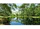 Scenic pond surrounded by lush trees creating a serene and tranquil setting at 9102 12Th Nw Ave, Bradenton, FL 34209