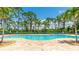 Full view of the large community swimming pool with surrounding lounge chairs and lush palm trees at 11625 Parrotfish St, Venice, FL 34292