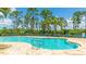 Community swimming pool with ladder access and plenty of lounge chairs surrounded by lush landscaping at 11625 Parrotfish St, Venice, FL 34292