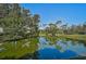 This charming view showcases a tranquil pond surrounded by lush greenery and mature trees at 13514 4Th E Plz, Bradenton, FL 34212