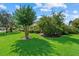 Home's well-manicured front lawn features mature trees and lush landscaping at 6528 Coopers Hawk Ct, Lakewood Ranch, FL 34202