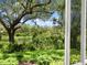 Serene backyard view showcasing mature trees, lush greenery, and a peaceful pond at 7003 Lancaster Ct, University Park, FL 34201