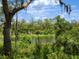 Picturesque view of a tranquil pond surrounded by lush vegetation and mature trees at 7003 Lancaster Ct, University Park, FL 34201
