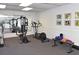 Community gym featuring an elliptical machine, weight machine, dumbbells, and large mirror at 137 Woodland Pl, Osprey, FL 34229