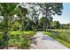Gravel walking path through a park with lush greenery and towering trees at 137 Woodland Pl, Osprey, FL 34229