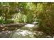 A tranquil, tree-lined walking path winds through lush greenery at 137 Woodland Pl, Osprey, FL 34229