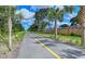 Paved walking path lined with palm trees and a yellow line running through the center at 137 Woodland Pl, Osprey, FL 34229