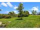Spacious backyard with lush green grass and tropical landscaping under a sunny sky at 17632 Santorini Ct, Venice, FL 34293
