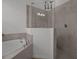 Close up of a luxurious walk-in shower and bathtub at 17632 Santorini Ct, Venice, FL 34293