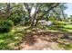 Lush front yard with mature trees providing ample shade and lovely curb appeal at 2515 Huntington Ave, Sarasota, FL 34232